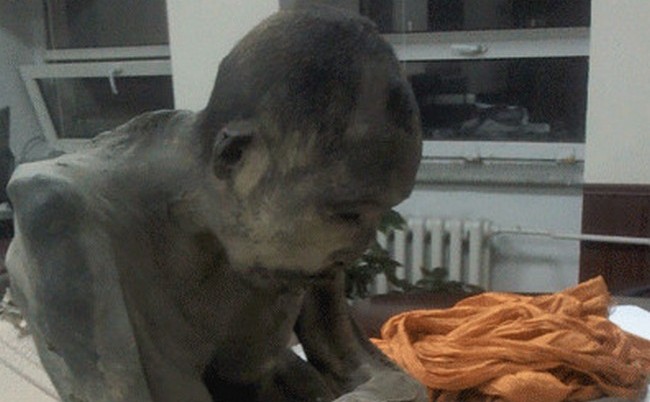 Löysin ainutlaatuisen muumion - sensaation buddhalaisille