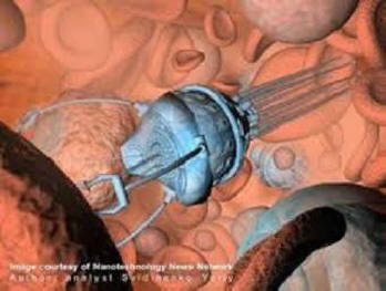 DNA: n perusteella luodut nanorobotit ladattiin eläviin torakoihin