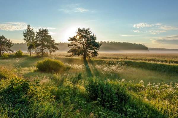 kansan merkkejä kesäkuussa 