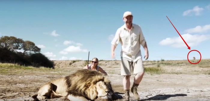 Älä herä uskalla tai kuinka luonto rangasi salametsästäjiä