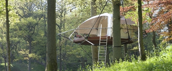 Haluatko elää puussa?