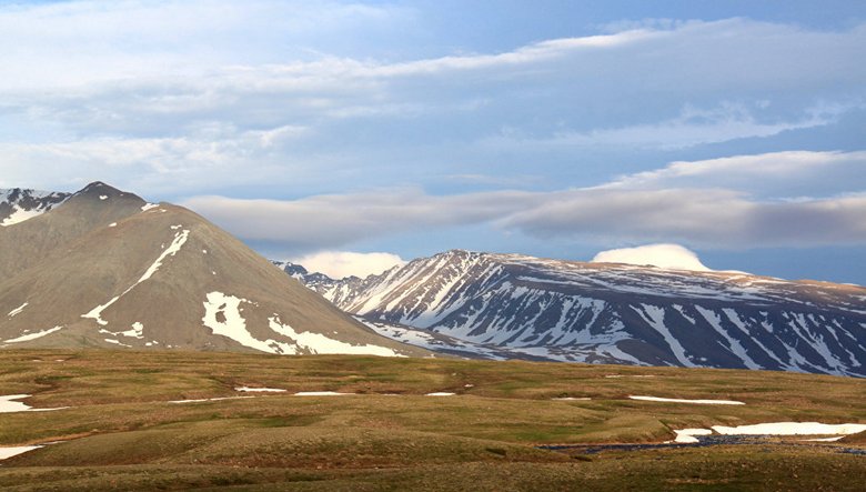 Saksalaiset tutkijat määrittivät Shigir-idolin tarkan iän