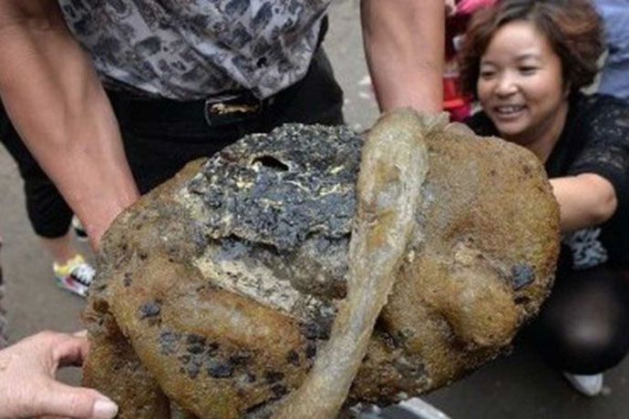 Kiinassa kiinni tuntematon olento