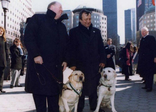 eläimet 21 Ilmeistä näyttöä siitä, että eläimillä on sielu