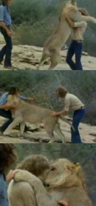 eläimiä 41 Ilmeistä näyttöä siitä, että eläimillä on sielu