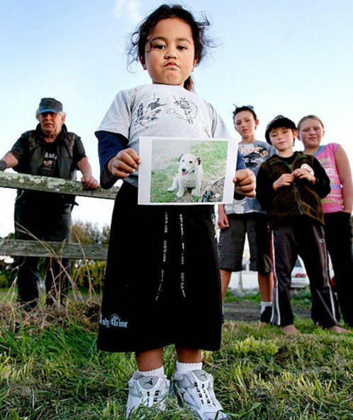 eläimet 71 Ilmeistä näyttöä siitä, että eläimillä on sielu