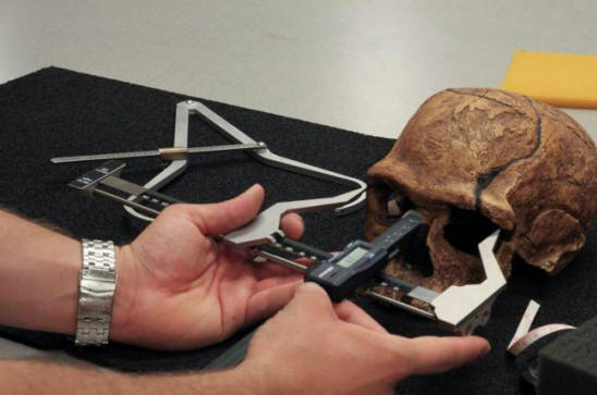 Matala testosteroni teki ihmiset sivistyneemmiksi.