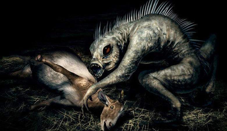 Uusi laukaus chupacabrasta osui verkkoon