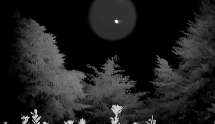 Uusiseelantilaiset näyttivät UFO: n lähellä kotiaan