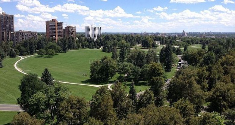 Pahoinpidelty Dead Park -juustomies