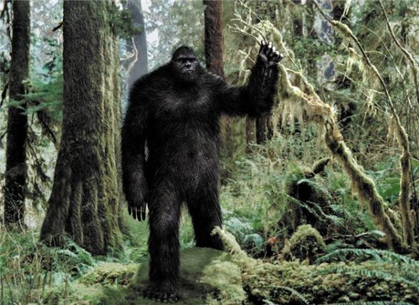 Todistajat vahvistavat Bigfootin olemassaolon