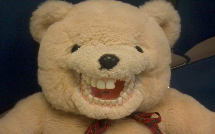 Kameraan kuvattu elpynyt nallekarhu