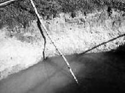 Pietarin ufologi muukalaisten varastamisesta maaperästä