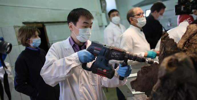 Mammutit vaeltavat jälleen Venäjän pohjoisosassa