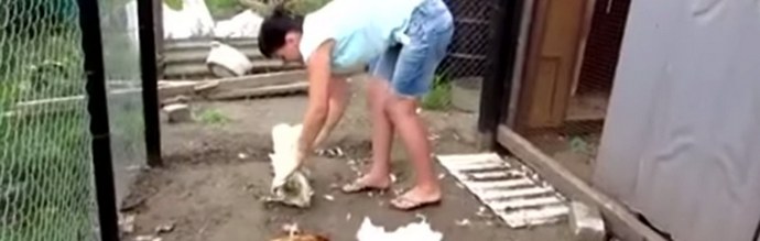 Miksi Chupacabra näyttää ikään kuin tyhjästä?