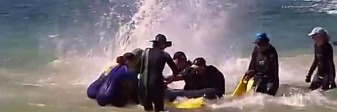 Miksi delfiinejä pestään massiivisesti rannalla?