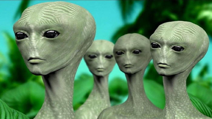 Miksi ihmiset palvovat matelijoita?