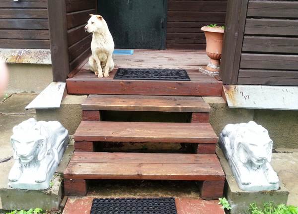 miksi ei läpäistä kynnystä 