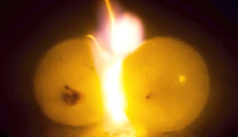 Miksi rypäleet räjähtää mikroaaltouunissa?