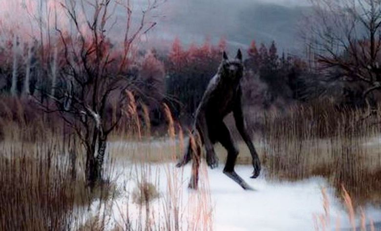 Koira mies joutuu auton pyörien alle, eikä hänelle tapahdu mitään.