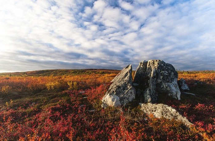 Puolitoista kuukautta vaeltamassa tundran ympäri