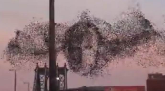 Putin muotokuva lentää New Yorkin yli