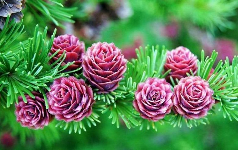 Katsotaan näitä kuvia ja ... yllätetään