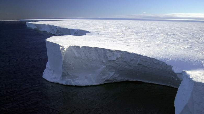 Oli mahdollisuus tutkia tuntematonta ekosysteemiä
