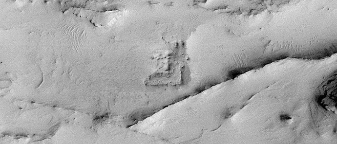 Totuus kuusta ja miksi se piiloutuu maanviljelijöiltä