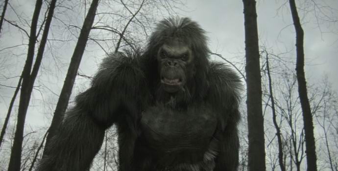 Esitetyt uudet todisteet yetistä