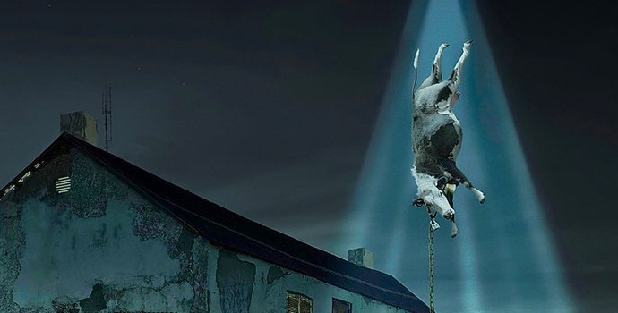 Kaappaavatko ulkomaalaiset eläimiä Ukrainan varannosta?