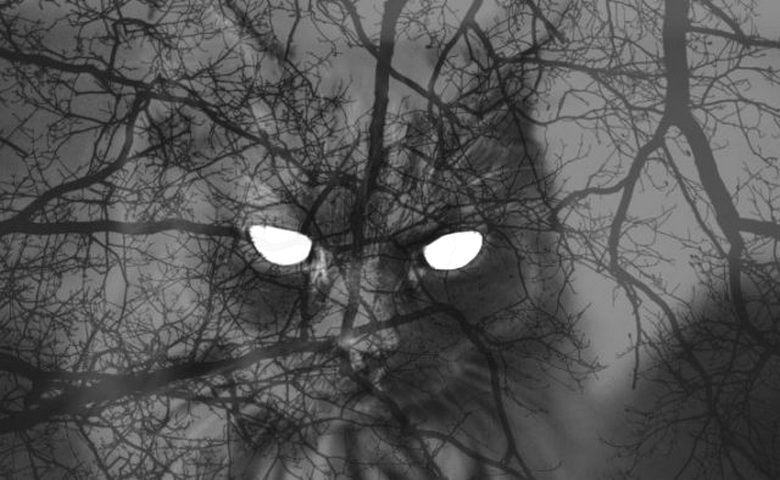 Autotallissa oleva haamu pelotti vartijaa