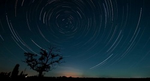 Linnut kokevat myrskyn lähestyvän muutamassa päivässä. Kuinka?