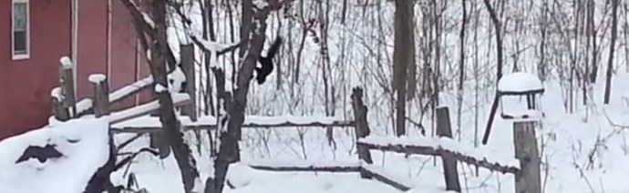 Voit myötätuntoisesti vain humalan oravan kanssa