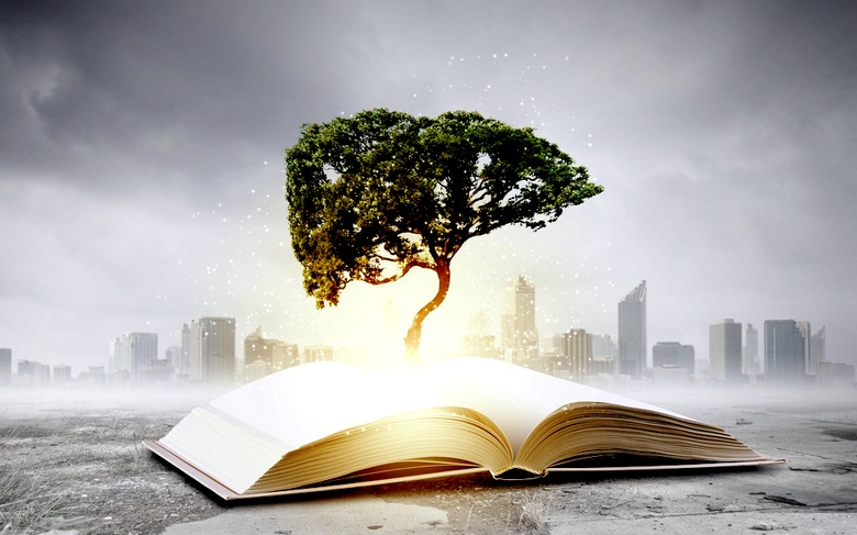 Kasvit ovat ajattelijoita kuten me.