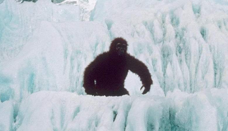 Bigfoot Walking in Oregon Hit the Video