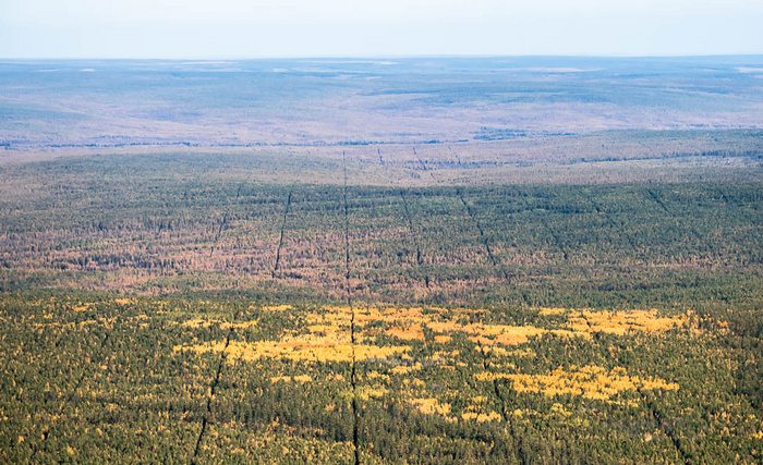 Maan merkitseminen - kuka on kirjoittaja?