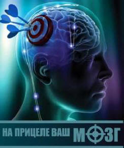 Aivojen oikean pallonpuoliskon kehitys