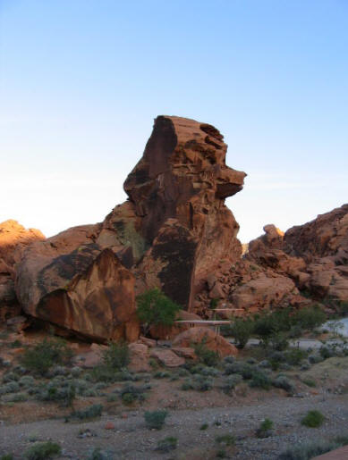 Matelijaolento pelotti pyöräilijöitä Sonora-autiomaassa