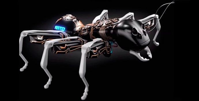 Robotti-muurahaiset toimivat yhtä läheisesti kuin oikeat.