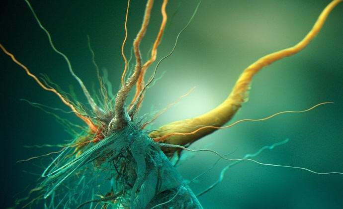 Venäläiset tutkijat löysivät muukalaisia ​​mikro-organismeja Antarktikasta