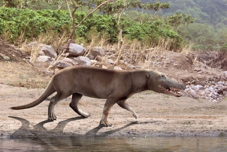 Venäläiset tutkijat ovat heränneet yli 40 tuhatta vuotta vanhoja olentoja
