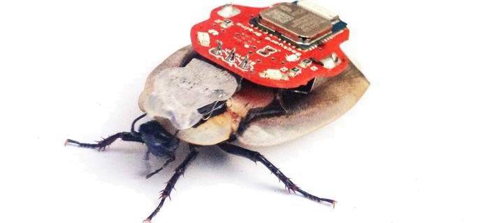 Venäläiset ovat kehittäneet robotti vakooja torakin