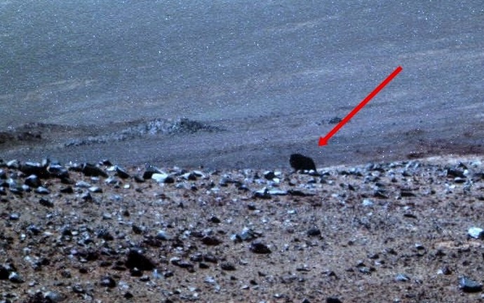 NASA Rover ampui eläimen Marsiin