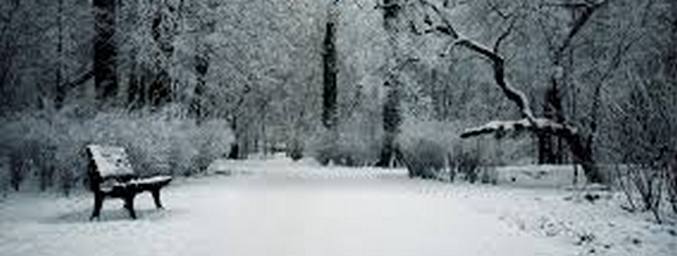 Rupla tekee säästä!