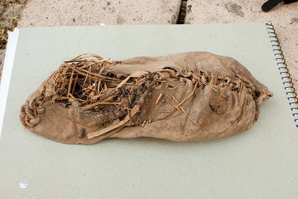 Worlds vanhin-tavallinen-asiat-3