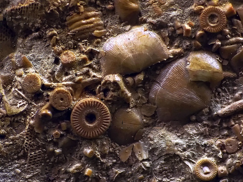 Kaikkein fantastisimmat esineet katoavat jälkeämättä