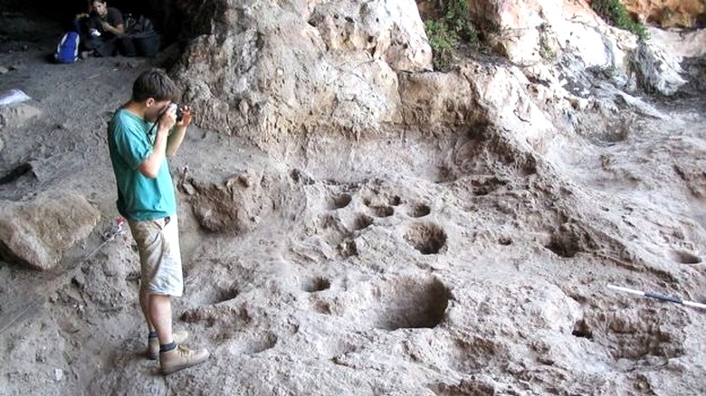 Vanhin olut oli kaukana egyptiläisestä