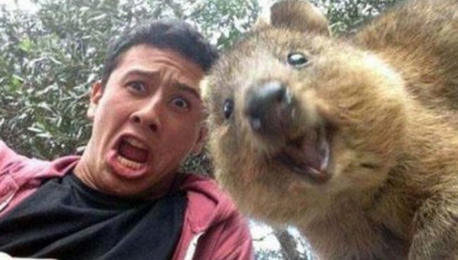 Selfie-video - nykyaikainen diagnoosi terveydentilasta