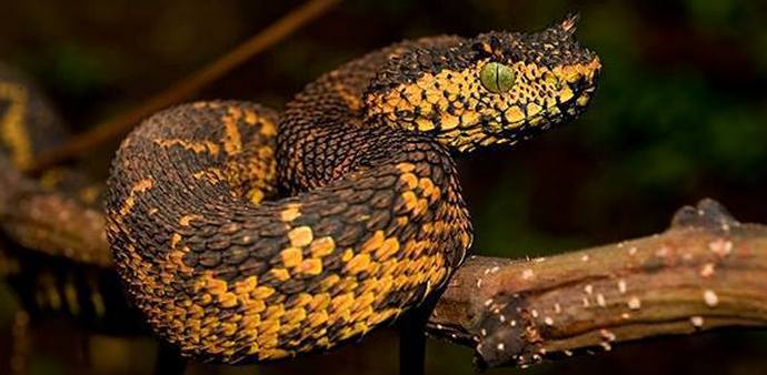 Selfies sata viisikymmentätuhatta dollaria haluat?